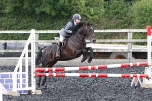 Class 5 - Fences not above 2'6